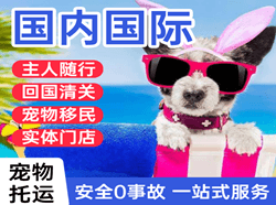 长治王村航空托运国际宠物托运 【国